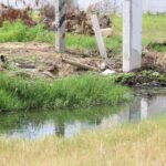 Habitantes de “Marina Diamante” de Acapulco… Exigen solución al vertimiento de aguas negras en la laguna de Tres Palos