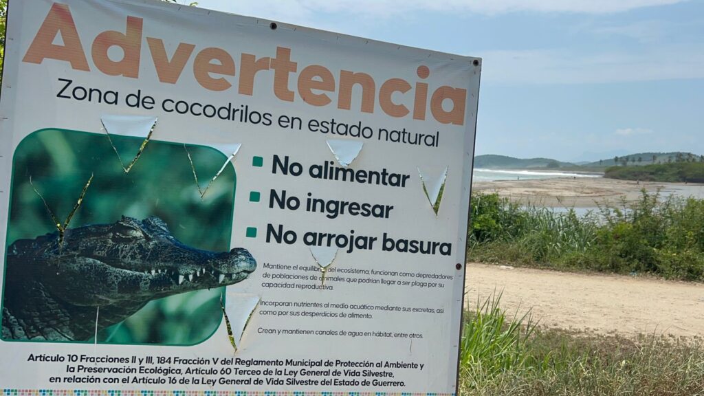 Personas se arriesgan a ser atacadas por cocodrilos: ignoran señalamientos