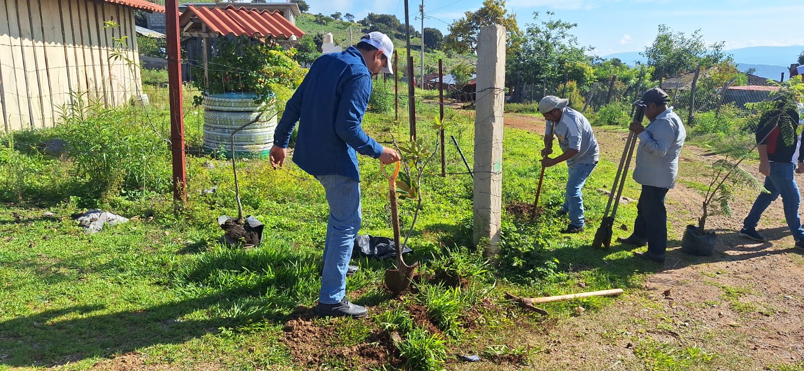 Reforesta el gobierno estatal la zona del Calvario en Chilpancingo