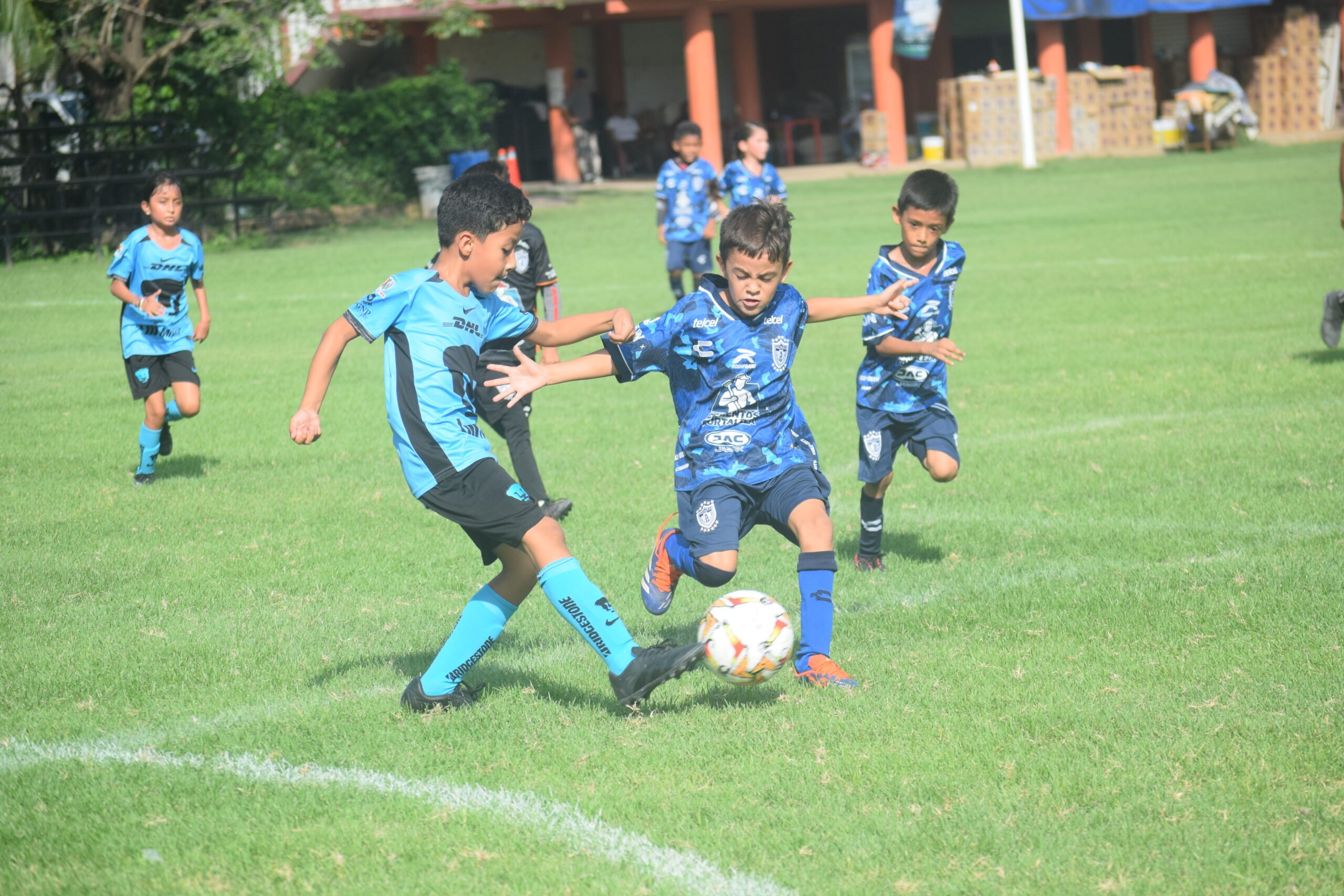 Tuzos San José se lleva la victoria en la categoría Poni