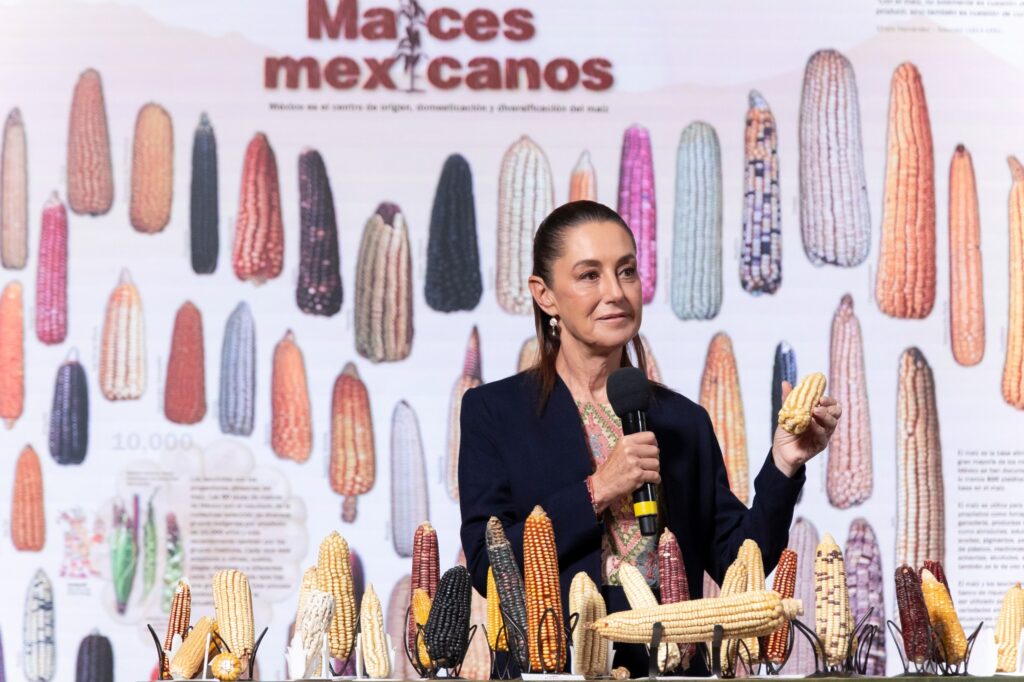 Presidenta Claudia Sheinbaum anuncia programa “Sin maíz no hay país” para producir con bienestar