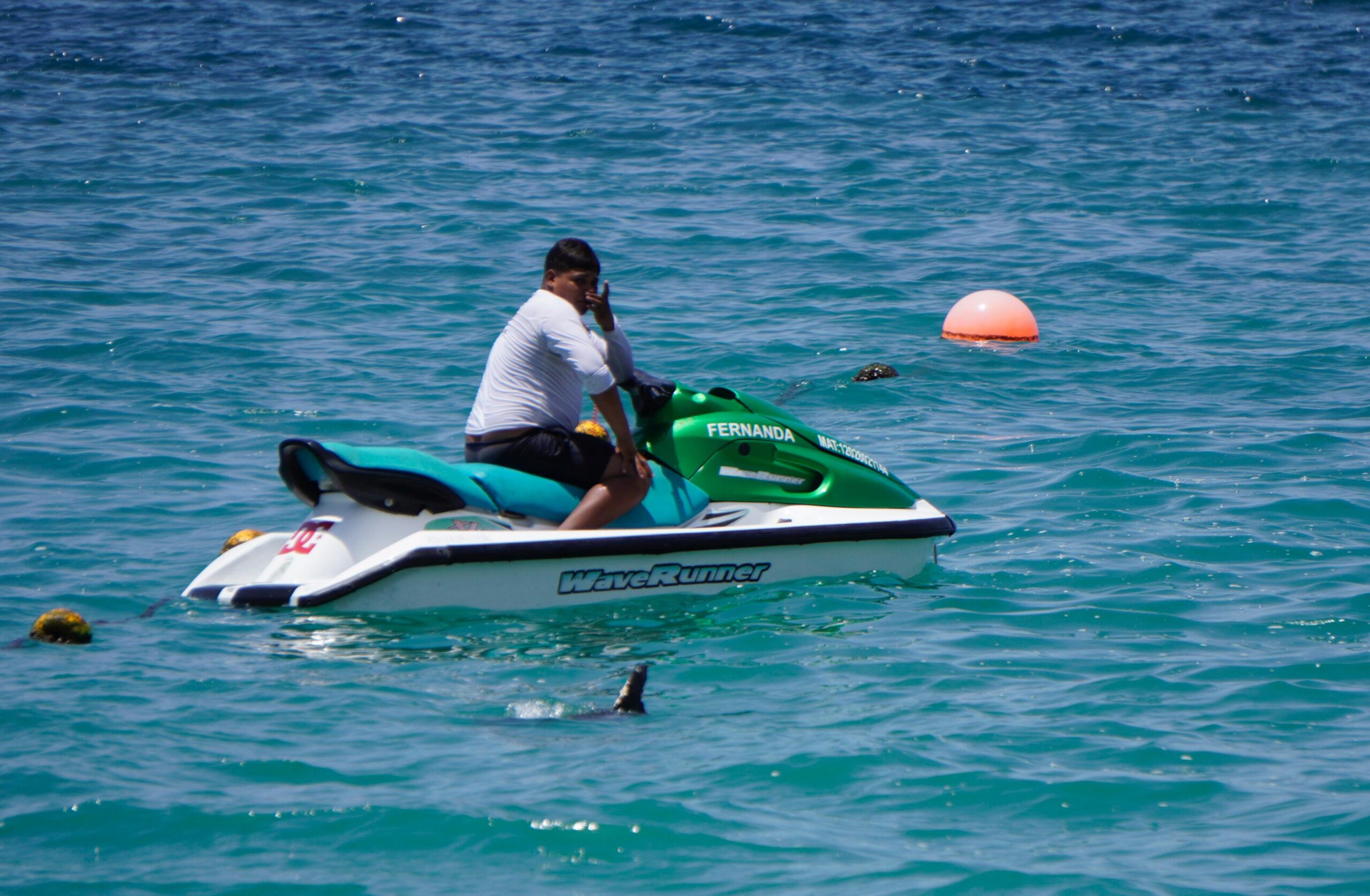 Avistan delfín presuntamente herido frente a playa Icacos, en Acapulco