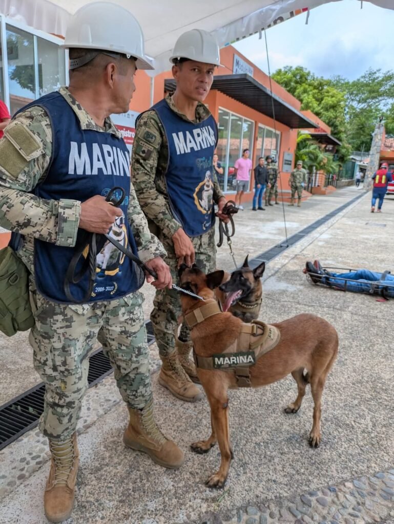 Marina, en coordinación con autoridades locales, realizó el “2do. Simulacro Nacional 2025 de Sismo y Tsunami” en Zihuatanejo de Azueta, Guerrero