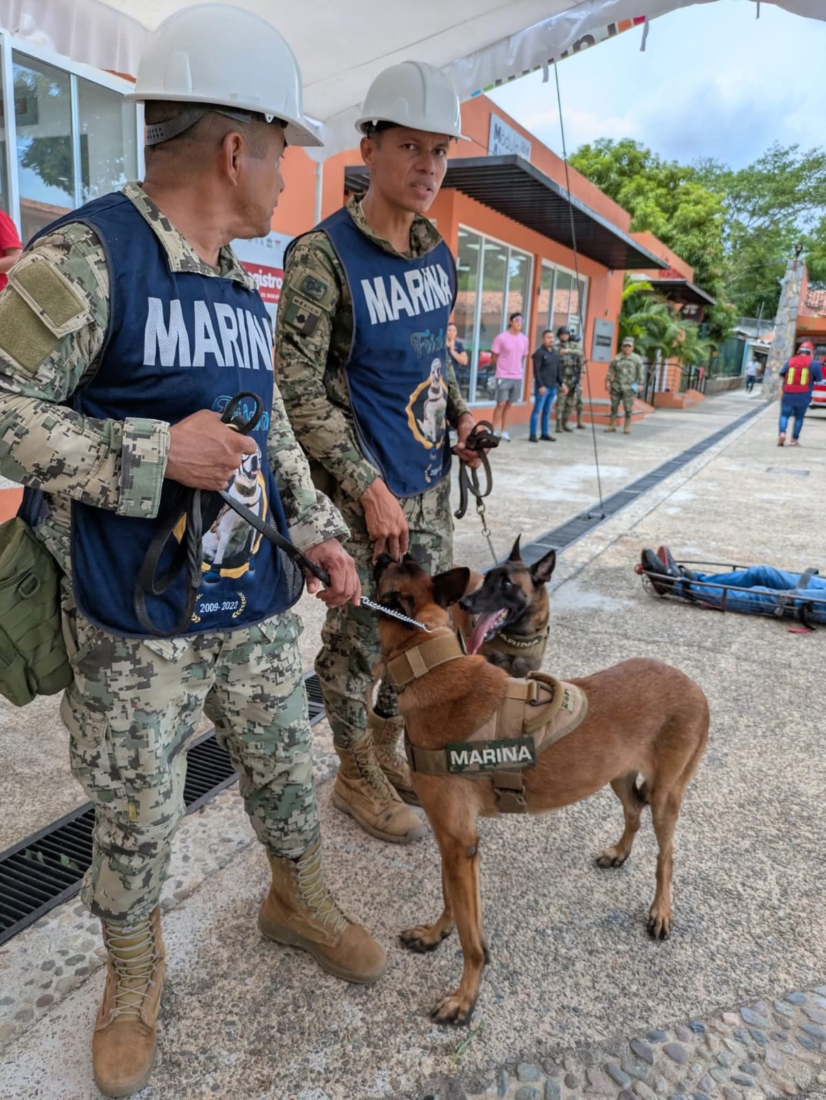 Marina, en coordinación con autoridades locales, realizó el “2do. Simulacro Nacional 2025 de Sismo y Tsunami” en Zihuatanejo de Azueta, Guerrero