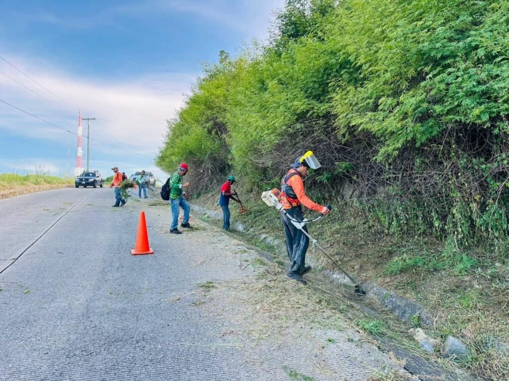Gobierno Municipal de Zihuatanejo refuerza mantenimiento y limpieza de áreas verdes y camellones durante la temporada de lluvias