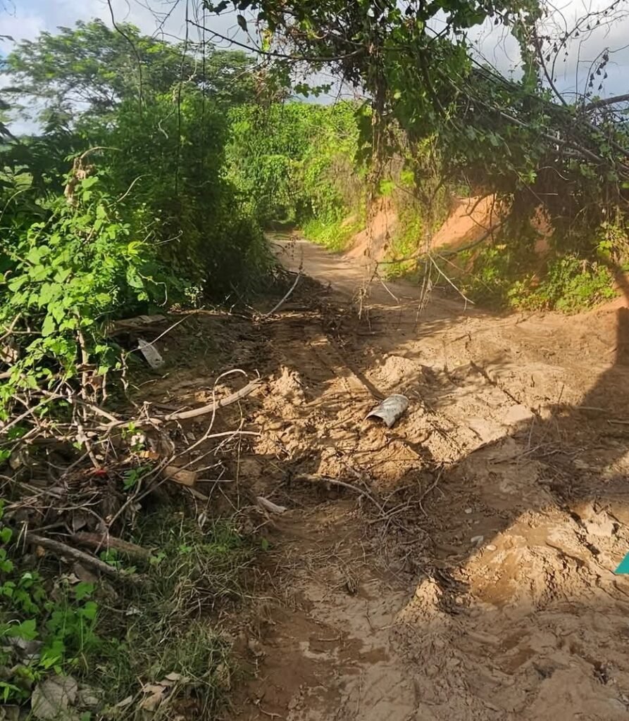 Retiran rocas que bloqueaban camino en Tecpan
