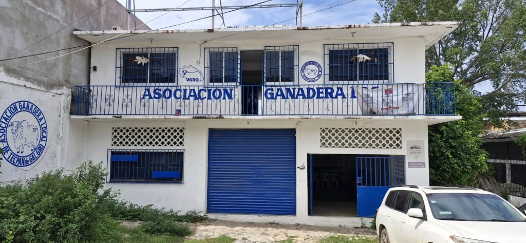No se han registrado casos de gusano barrenador en Tecpan ni en Guerrero