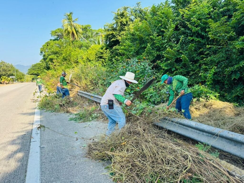 Servicios Públicos del Municipio refuerza acciones para mejorar las vialidades mediante labores de poda y chaponeo en camellones