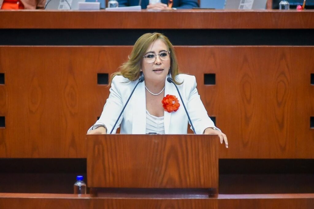 Revela la diputada local del PT, Leticia Mosso, que su salario mensual es de 300 mil pesos al mes