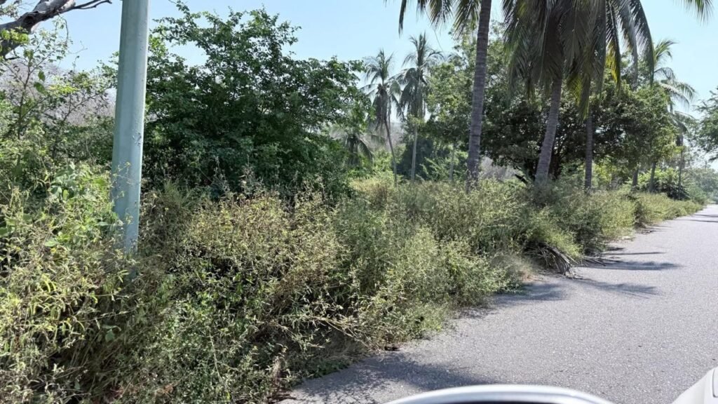 Abandonado por CEASII el camellón Playa Linda–Tráiler Park