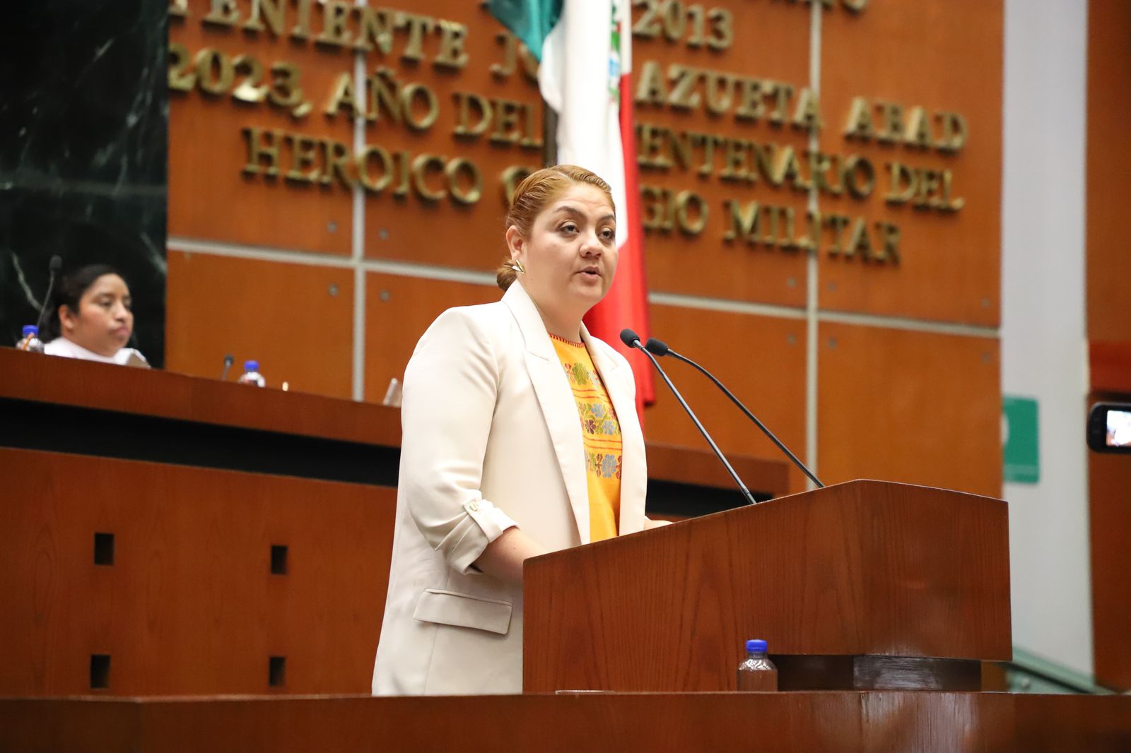 Pide diputada que se reactive la Red Estatal de Bibliotecas Públicas en Guerrero