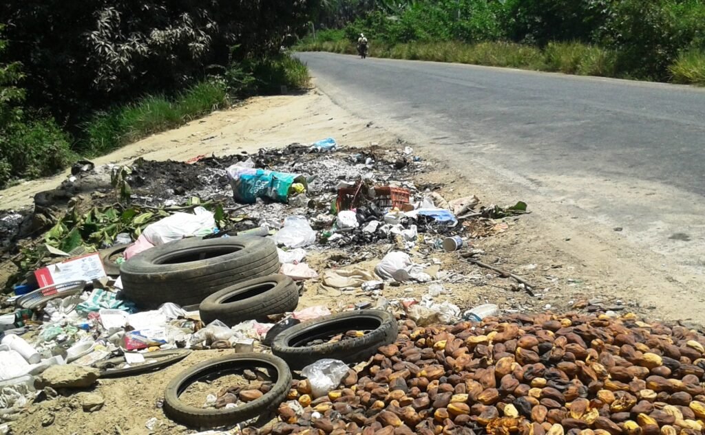Vecinos denuncian proliferación de basureros clandestinos por falta de recolección en San Jerónimo de Juárez