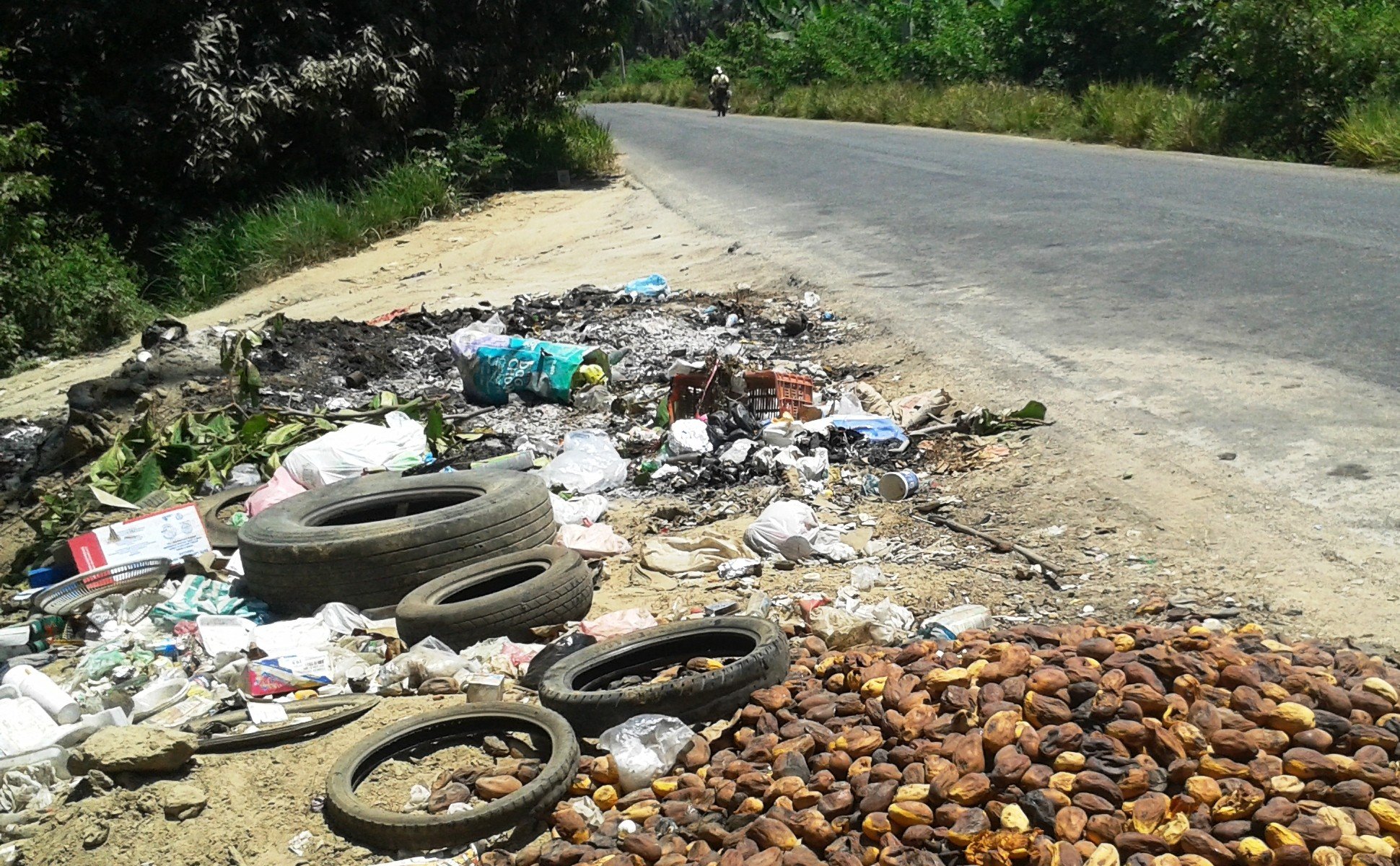 Vecinos denuncian proliferación de basureros clandestinos por falta de recolección en San Jerónimo de Juárez