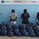 Aseguran DEFENSA, GN, FGE Guerrero, SSPC y Policía Estatal más de 170 kilogramos de marihuana en Quechultenango