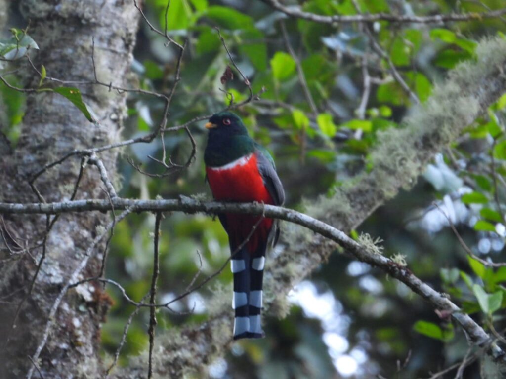 Guerrero avanza en la integración del Compendio de la Biodiversidad como base para la planeación ambiental