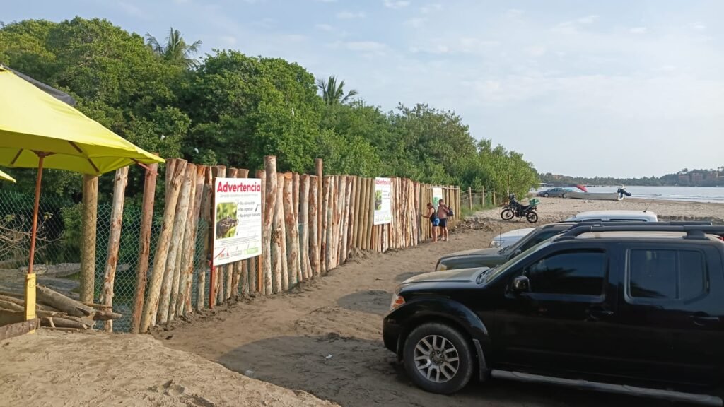 Refuerzan cierre del estero de Playa Linda ante riesgo por cocodrilos