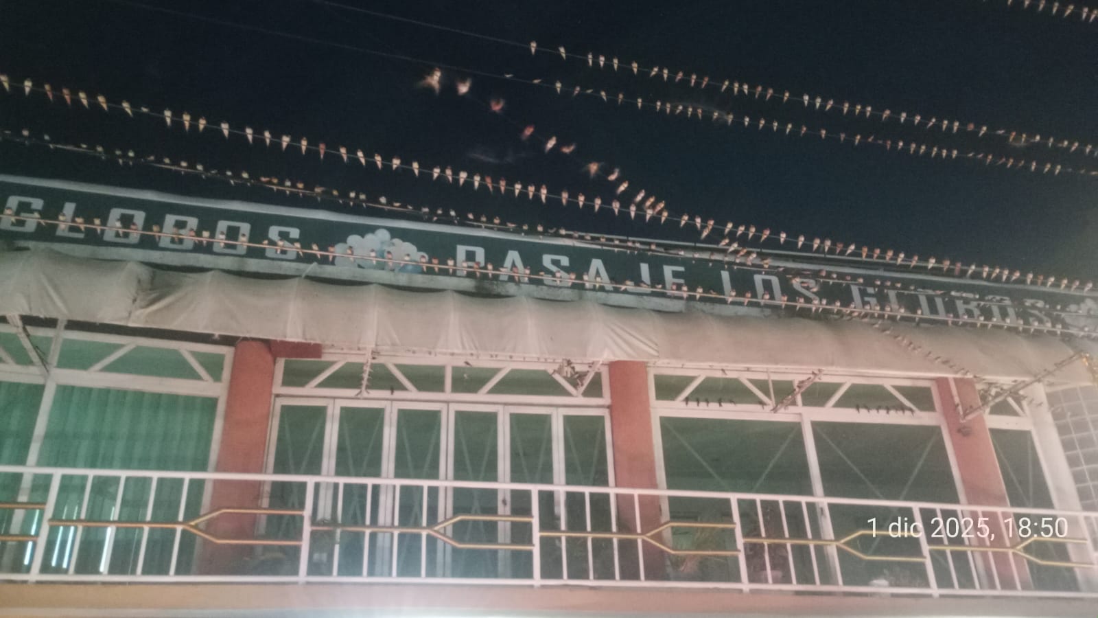 Miles de golondrinas tiñen el cielo de Zihuatanejo en su migración anual