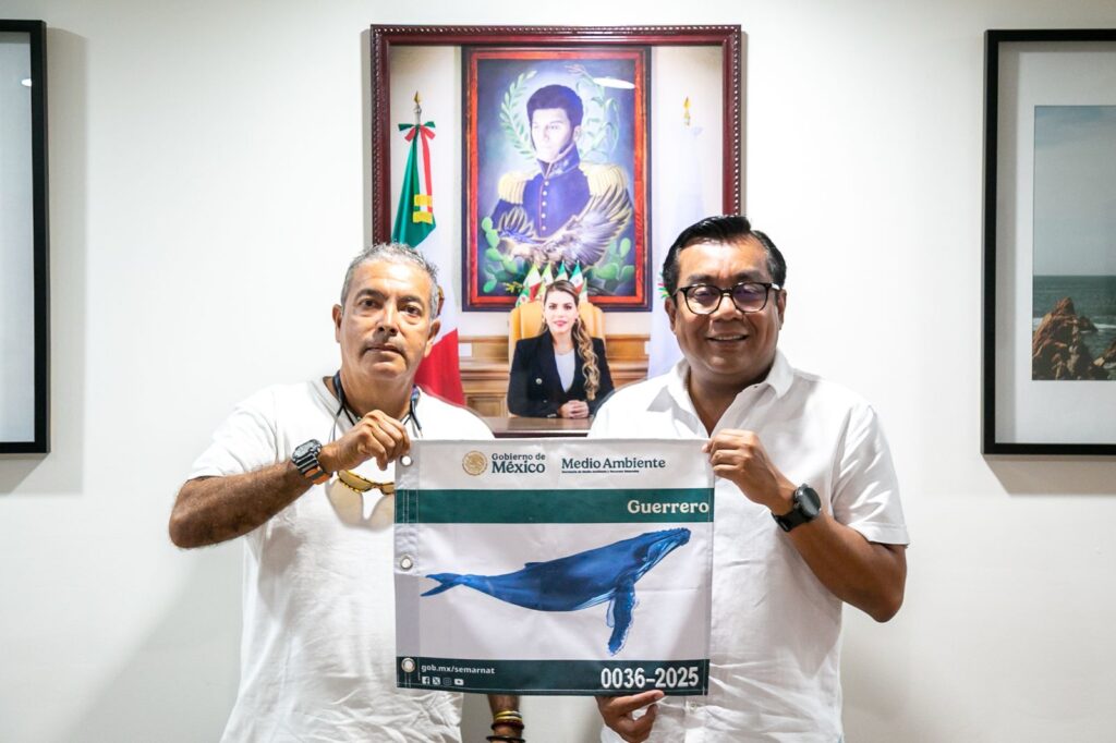 Inicia temporada de observación de ballenas en Guerrero; cinco municipios cuentan con aval de la SEMARNAT