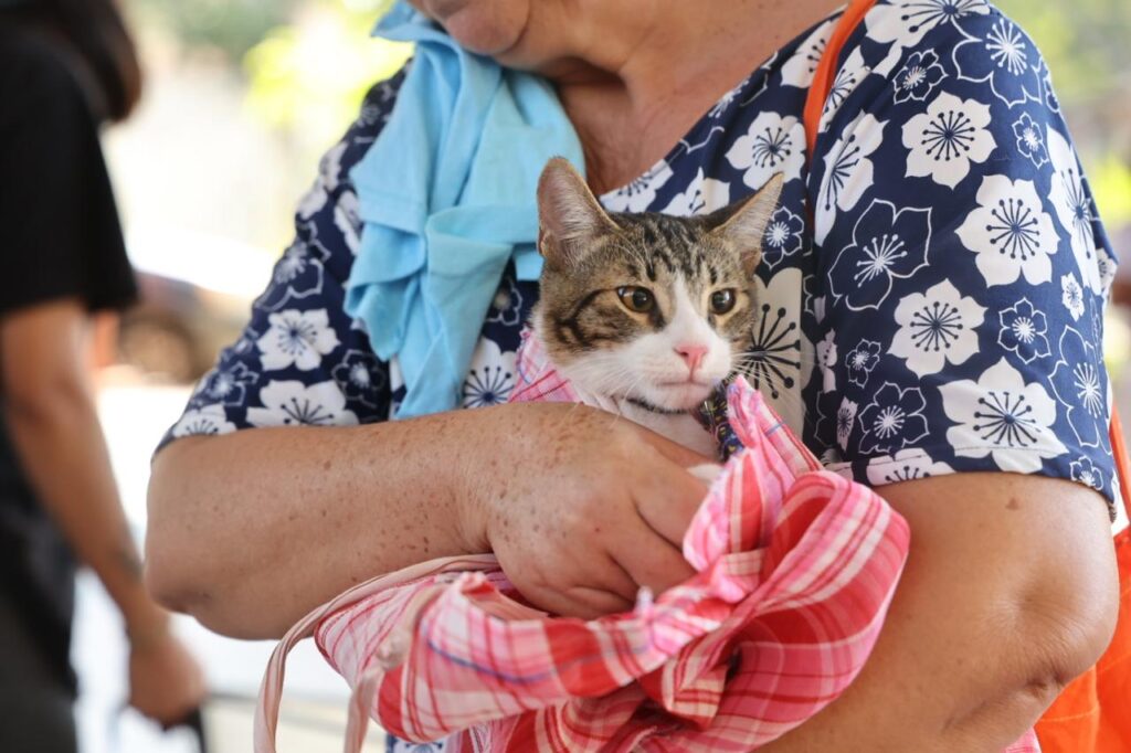 Gobierno de Zihuatanejo realiza campañas de vacunación enfocadas en mejorar el bienestar animal