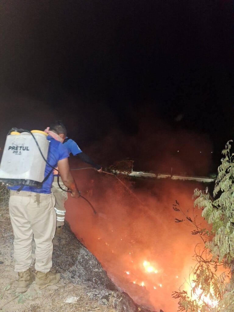 Incendios de pastizales ponen en riesgo colonias de Atoyac; Protección Civil logra sofocarlos