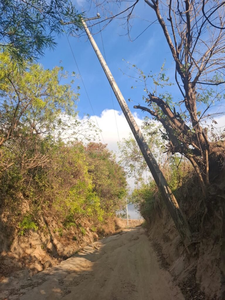 Habitantes de El Nanchal solicitan a la CFE reubicación de postes en riesgo