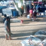 Pescado fresco y precios bajos, la tradición que fortalece a Playa Principal