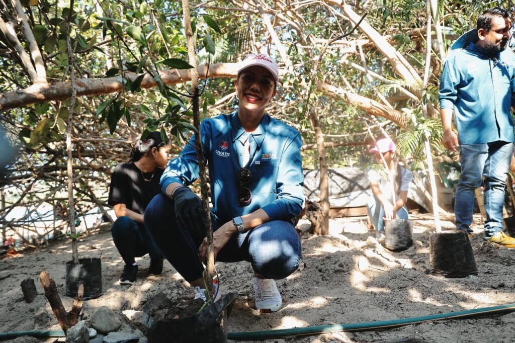 Gobierno de Zihuatanejo realiza campaña de reforestación en Playa Quieta