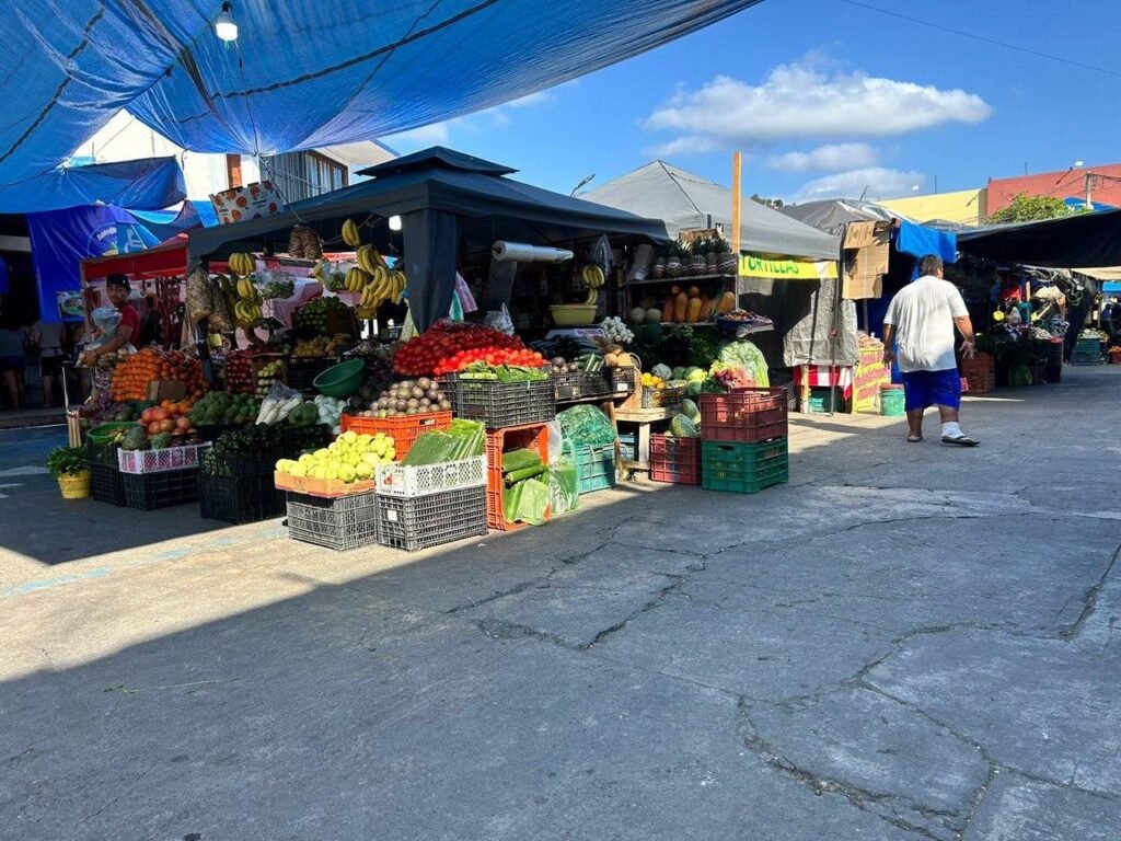 Avanza la remodelación del mercado central