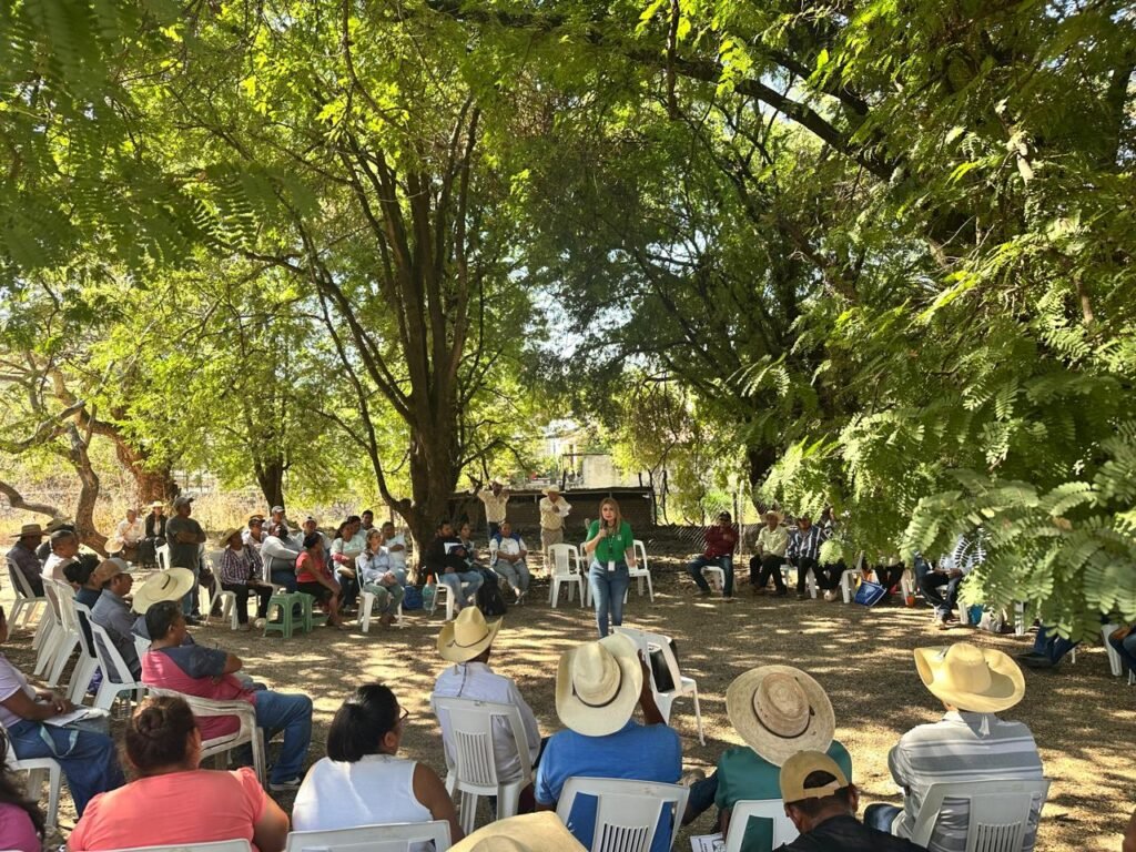 Impulsa IMSS Guerrero aseguramiento en el campo