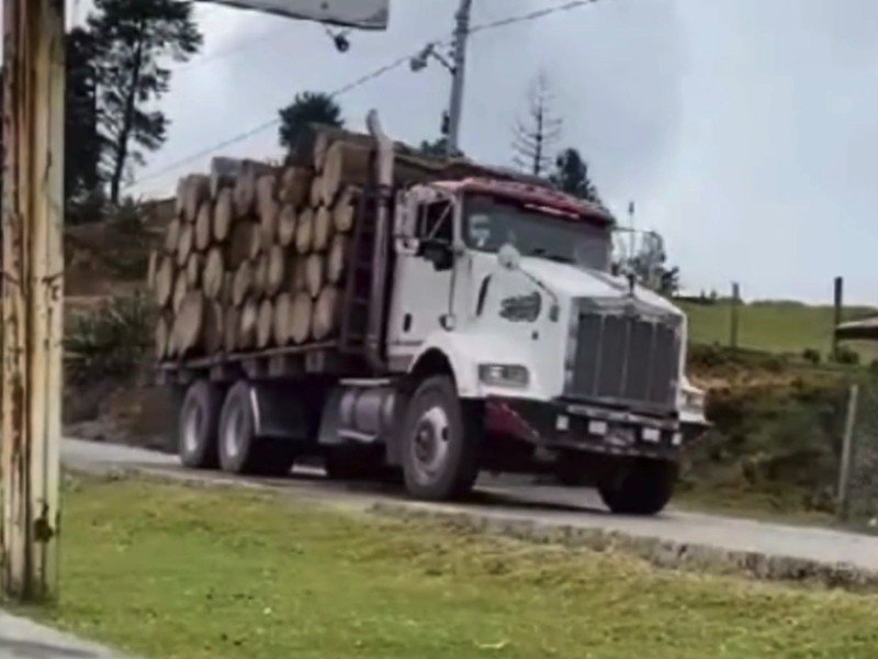 Continúa tala ilegal en Atoyac, señalan pobladores