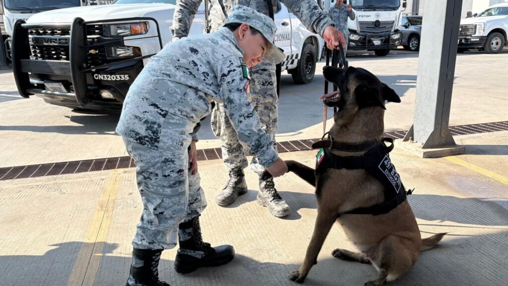 La Guardia Nacional cumple el sueño de un pequeño héroe en Acapulco