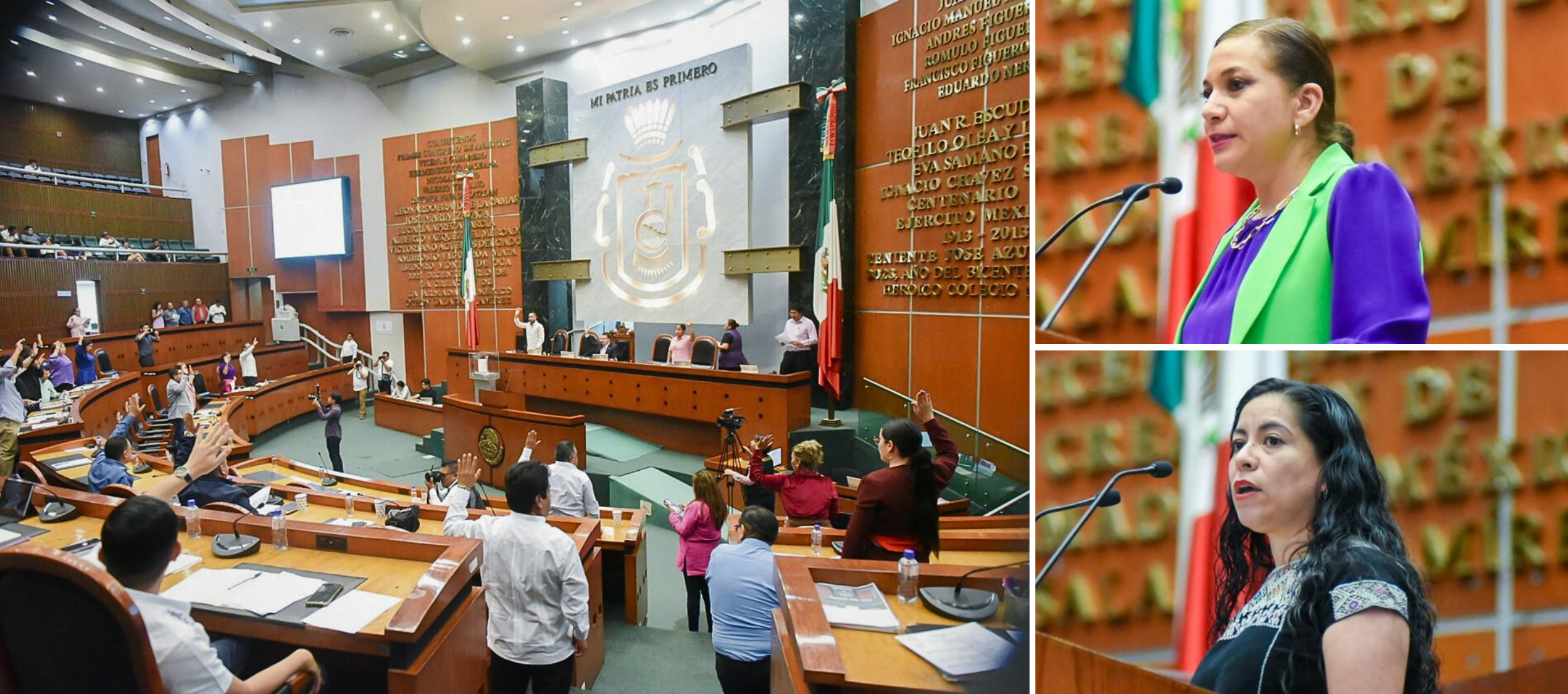 Congreso exhorta a municipios y a Semaren a reforzar la preservación del jaguar en Guerrero