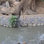 Detectan flujo de agua turbia y con mal olor en canal pluvial detrás de Bodega Aurrerá