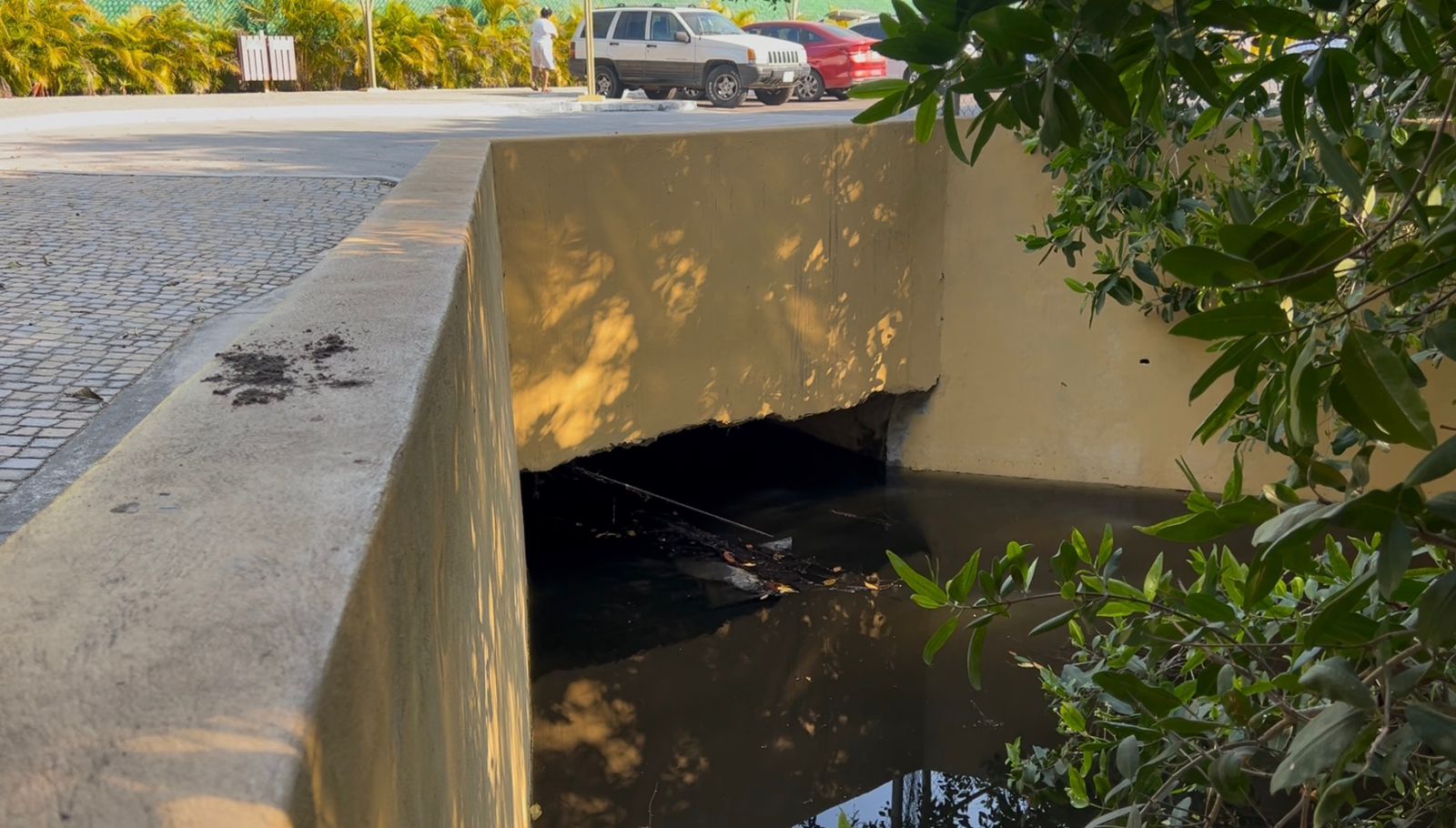 Denuncian posibles descargas de aguas residuales en el estero El Palmar