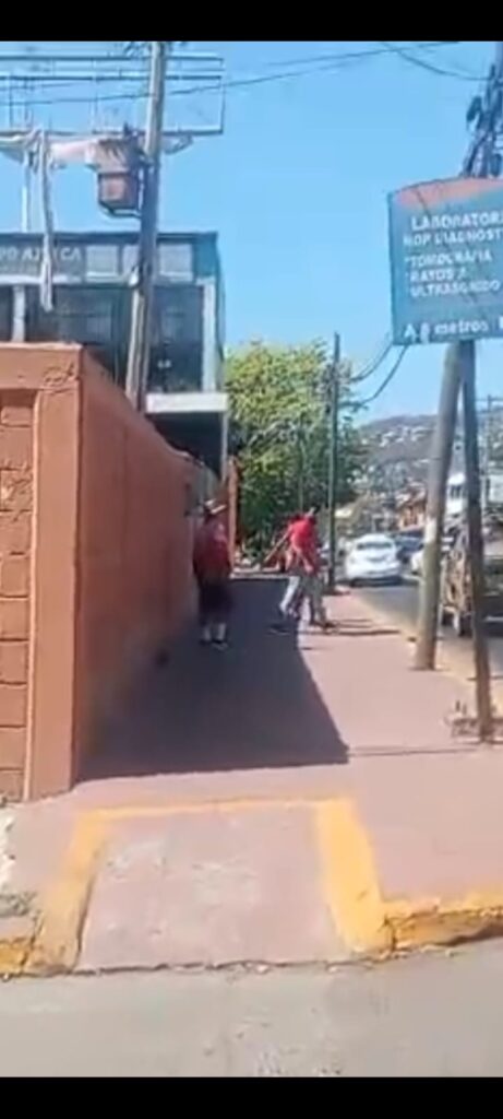 Rescatan a iguana herida tras ser atropellada en la avenida Morelos de Zihuatanejo