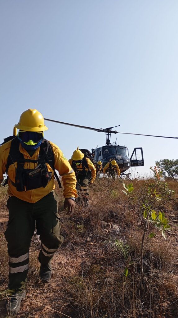 Este lunes se combaten nueve incendios forestales en Guerrero