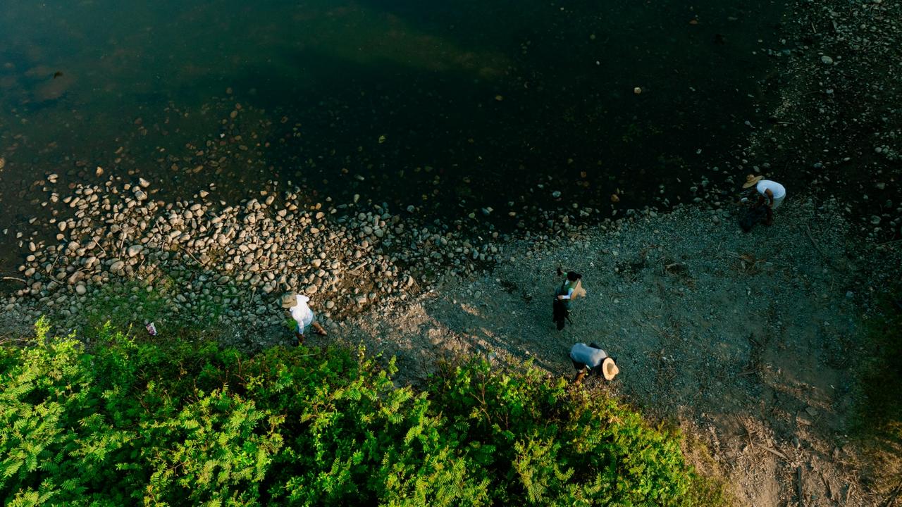 Se protege la biodiversidad del estero en la Barra de San José Ixtapa