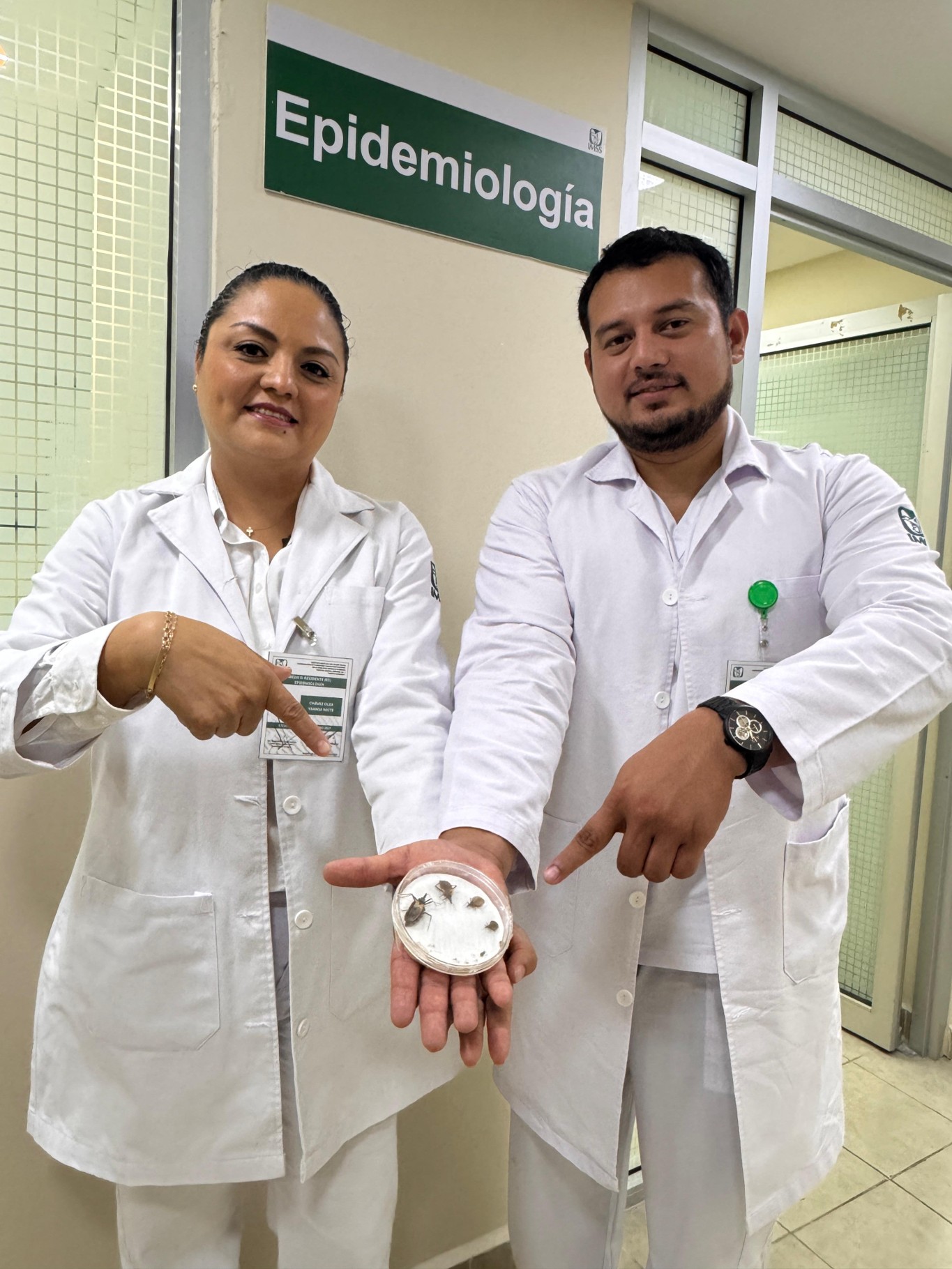 Advierte IMSS Guerrero sobre síntomas y prevención de la enfermedad de Chagas