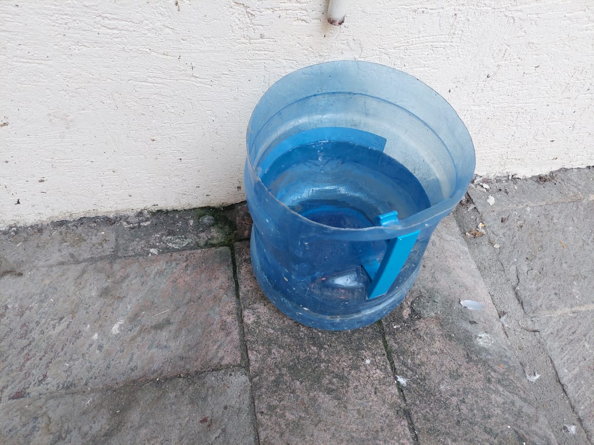 Refuerza IMSS Guerrero prevención y detección del dengue