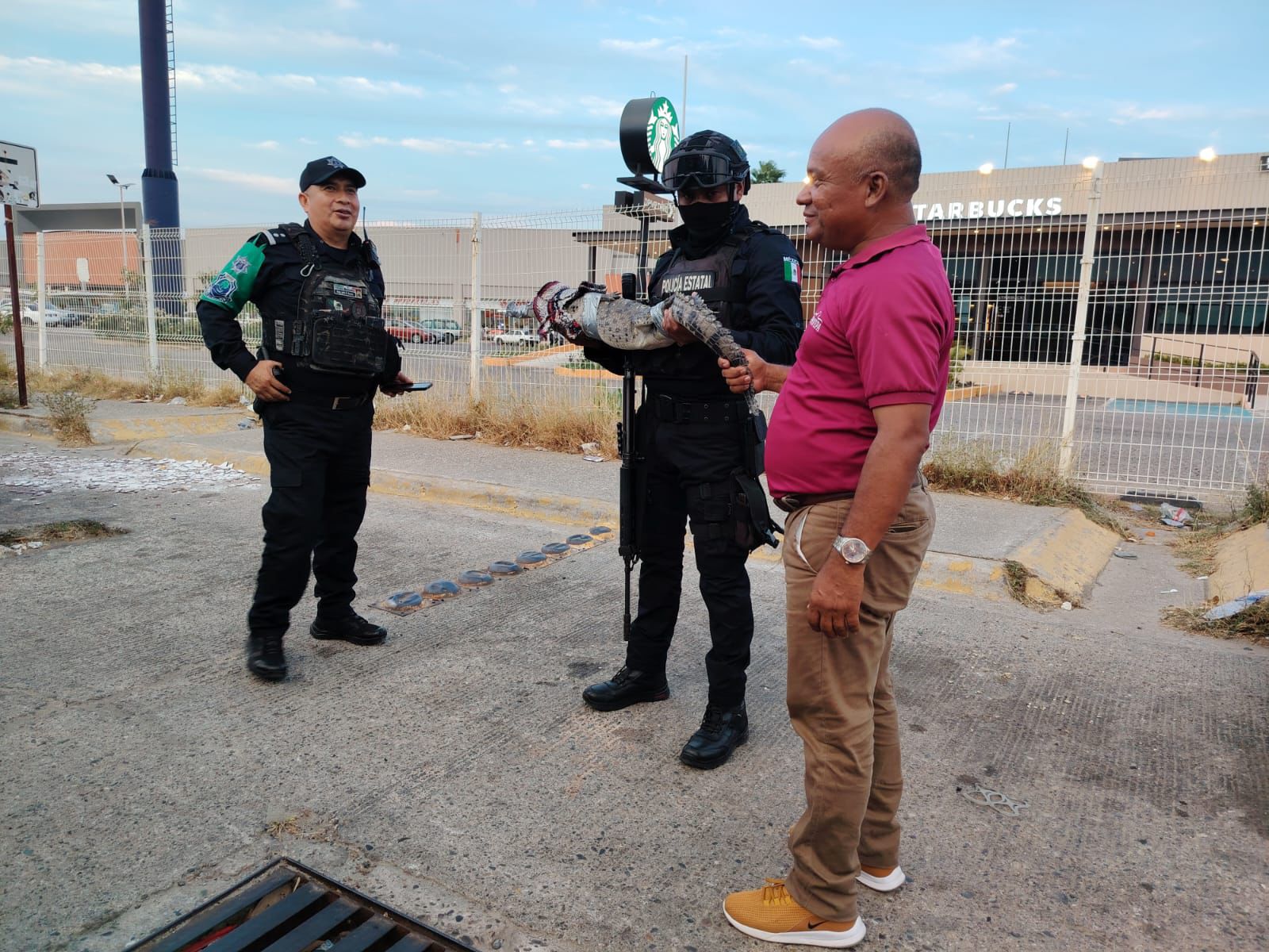 Rescata Policía Ecológica Estatal cocodrilo y lo entrega a PROFEPA en Acapulco