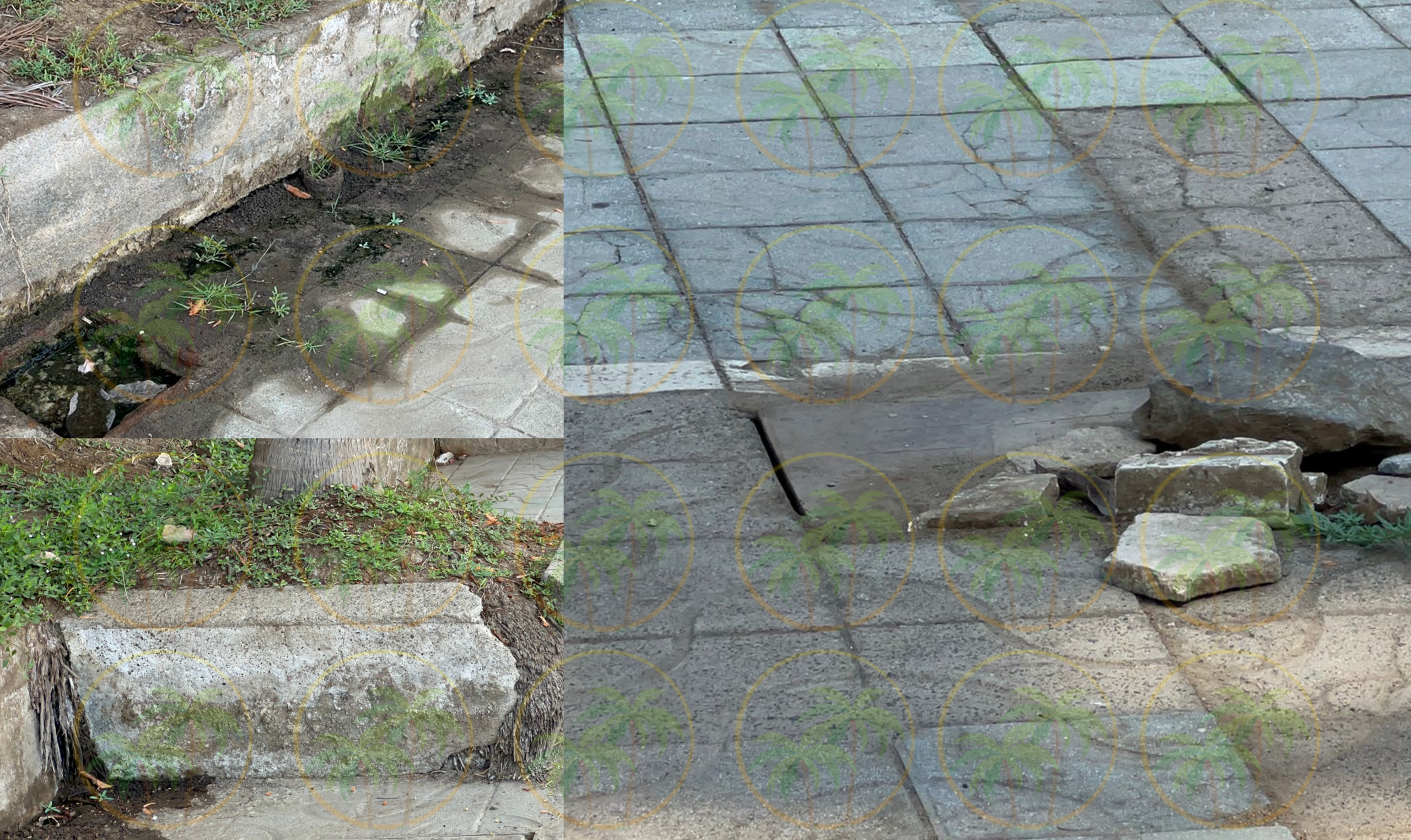 Marina Ixtapa: concesión privada, críticas públicas y deterioro visible