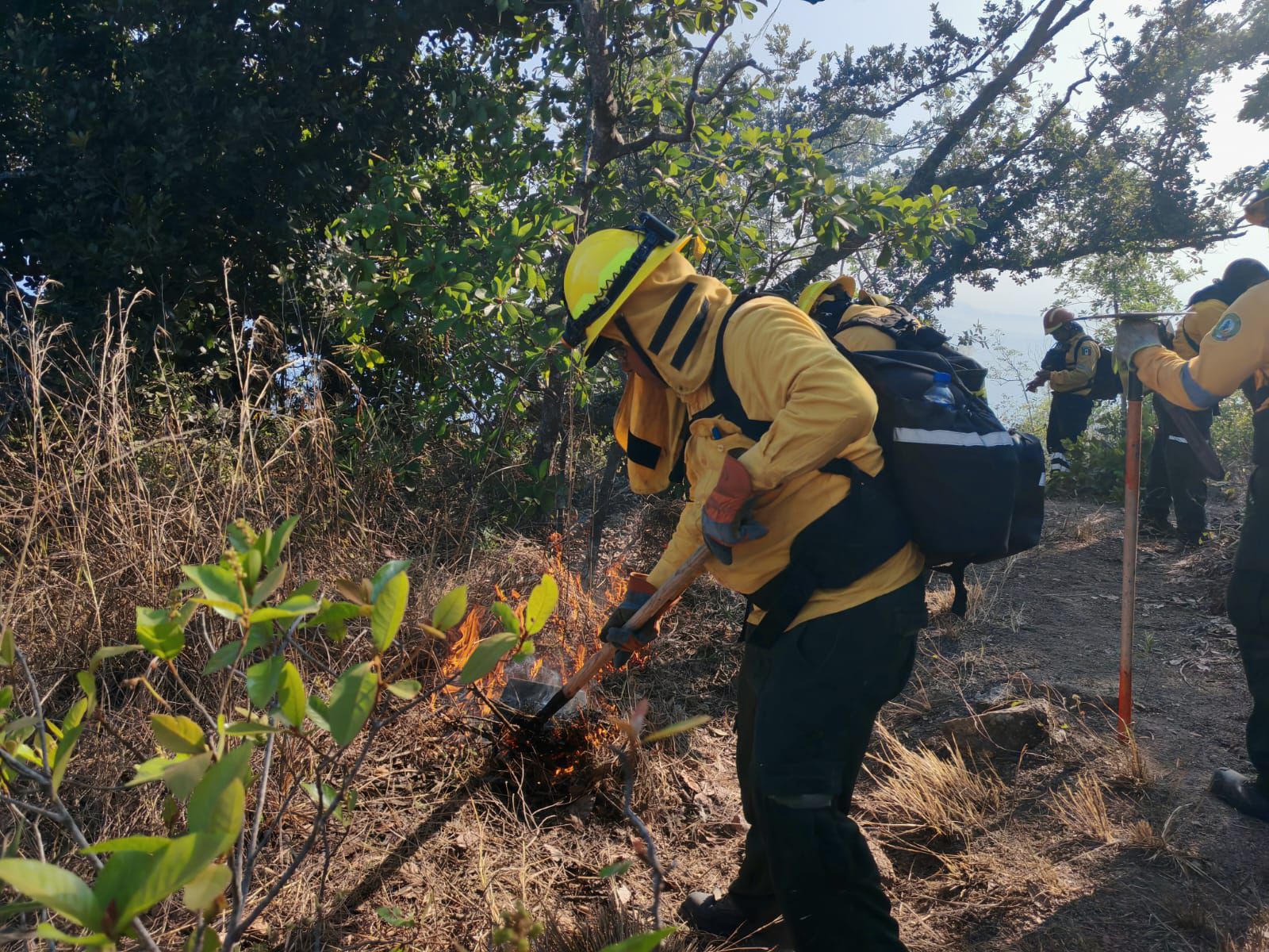 La SGIRPCGRO realiza trabajos de sofocación en nueve incendios forestales en Guerrero
