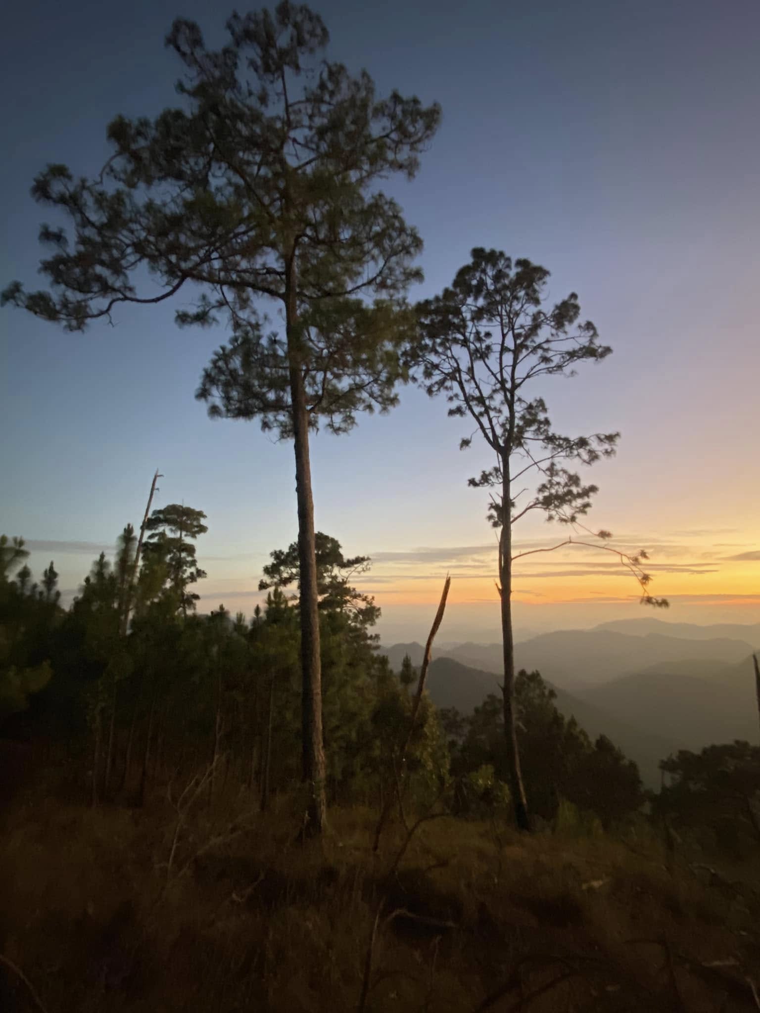 Urgen brigadas comunitarias para prevenir incendios forestales en la sierra de Zihuatanejo