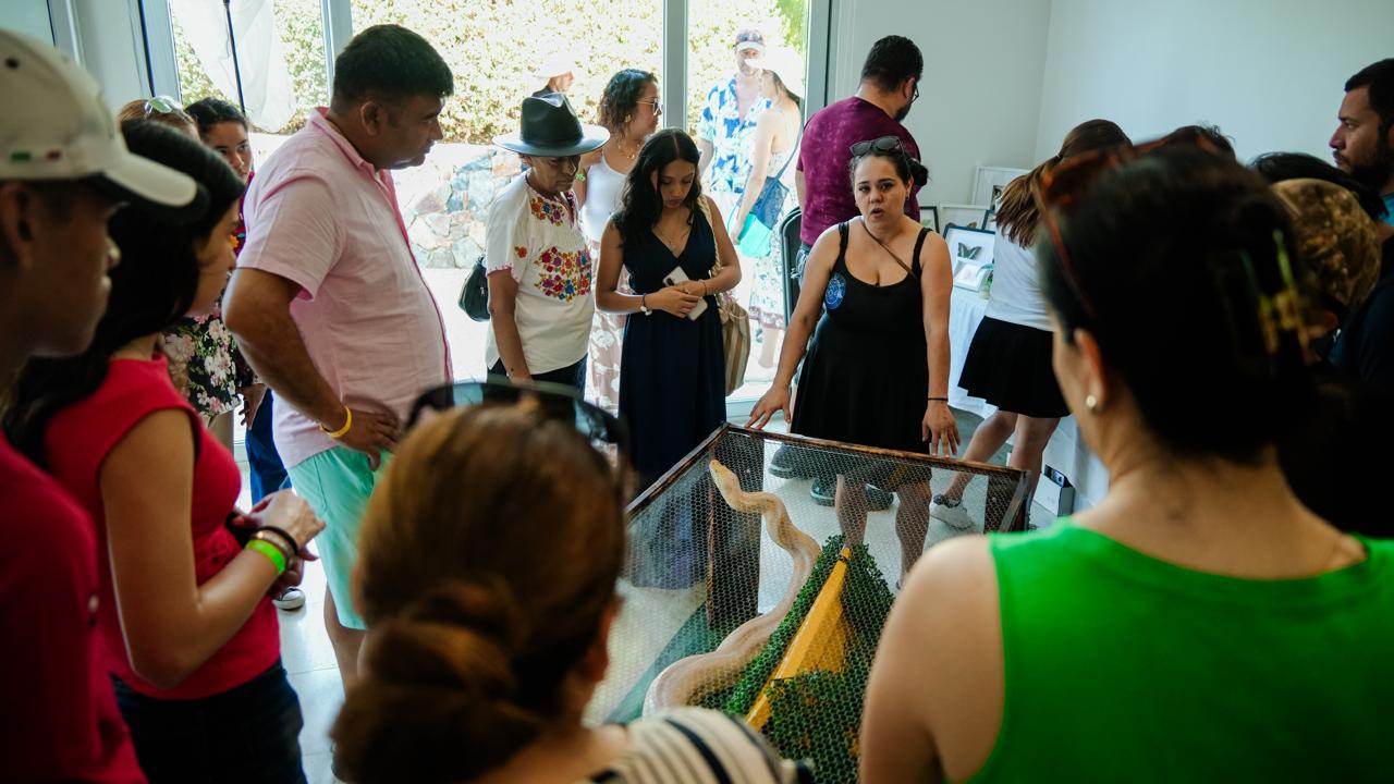 Exposición de insectos y reptiles apoyada por el Gobierno de Zihuatanejo atrae a un alto número de turistas