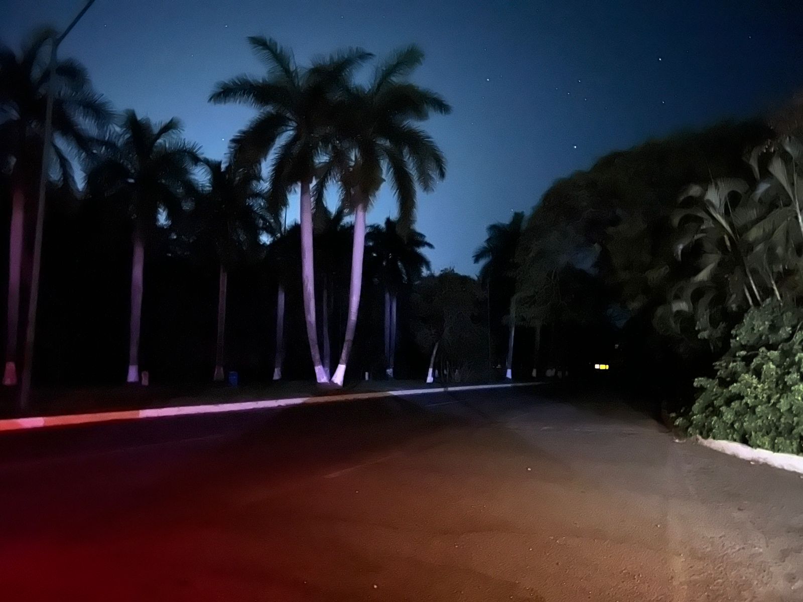 Bulevar Ixtapa–Playa Linda, a oscuras; automovilistas denuncian alumbrado inservible