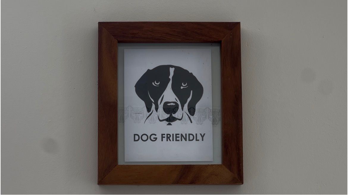 Turismo pet friendly deja ganancias millonarias; Hoteles Azul Ixtapa es puntero