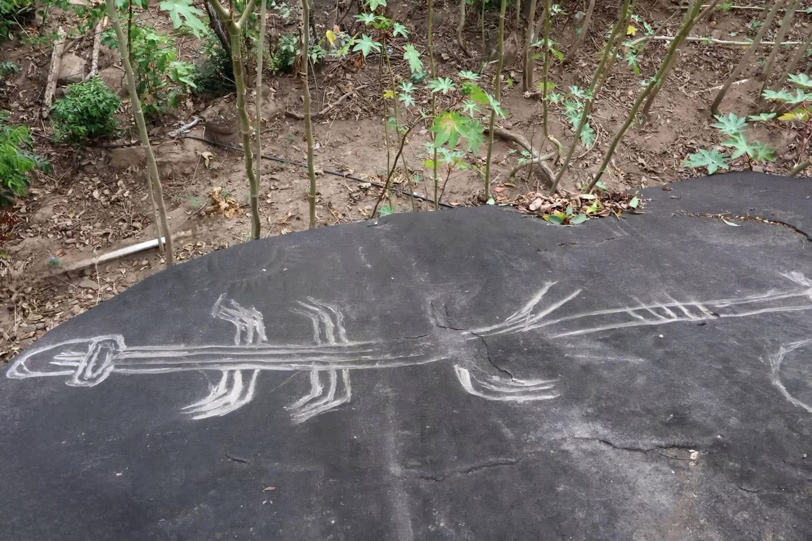 Vestigios arqueológicos en Tecpan revelan amplia población de antepasados