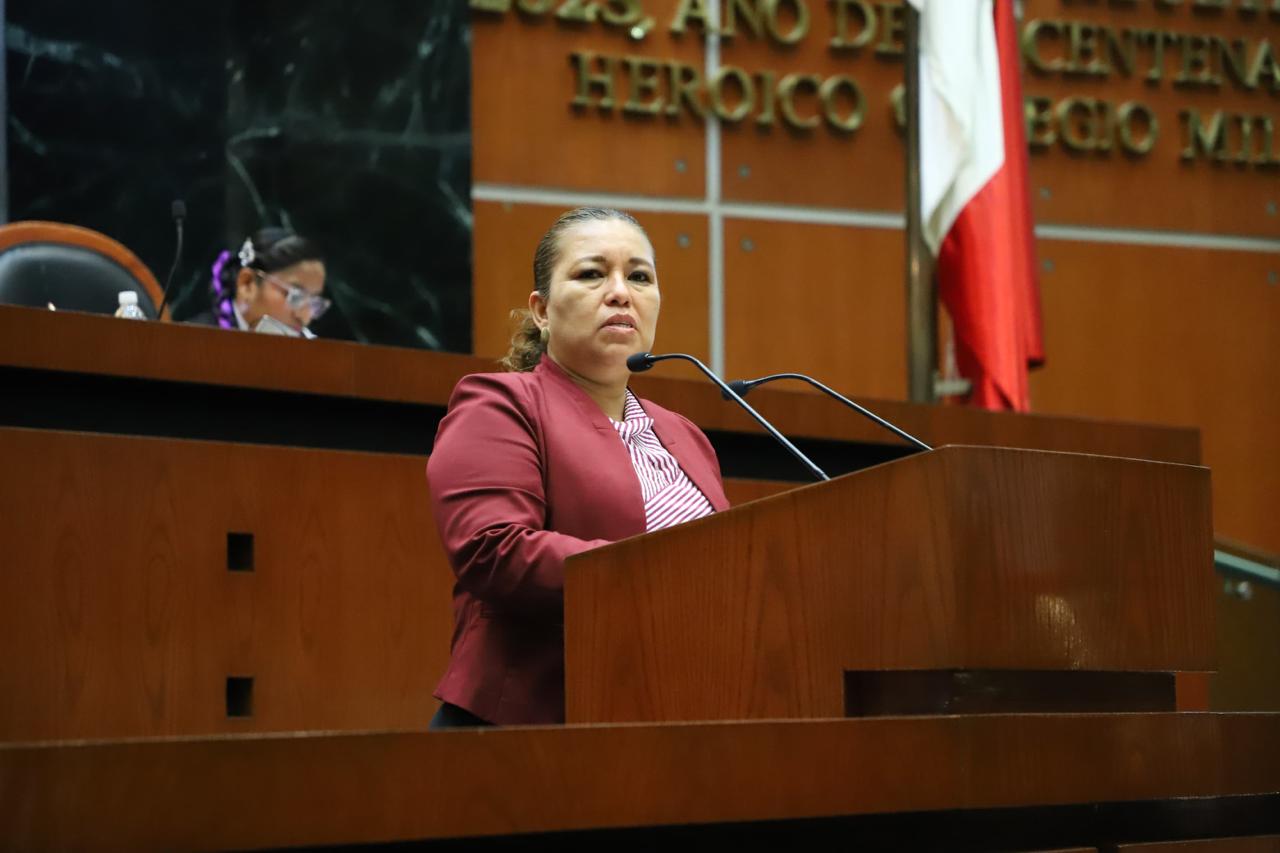 Diputada pide a municipios garantizar descuentos y tarifas preferenciales de transporte para personas adultas mayores