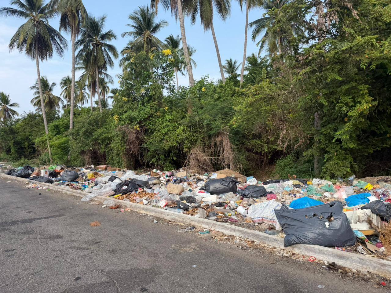 Denuncian crecimiento de basurero clandestino en libramiento de Tecpan