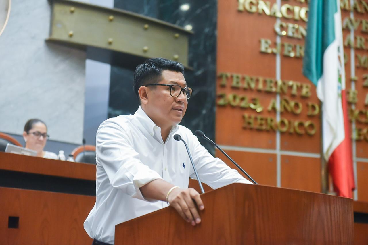 Exhorta diputado a realizar mayores operativos de vigilancia por tala ilegal